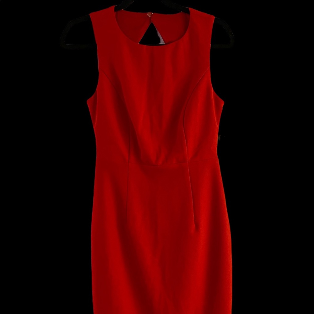 Lulus Dress